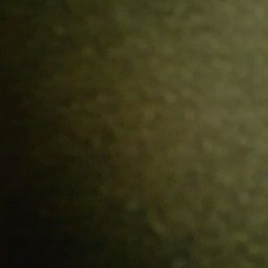 Meet your Posher, Leighanne